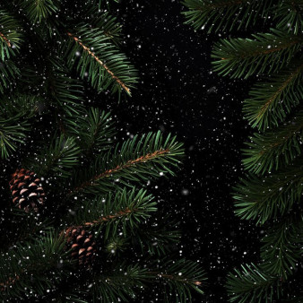 Кедровый мацерат хвои пихты 10 мл