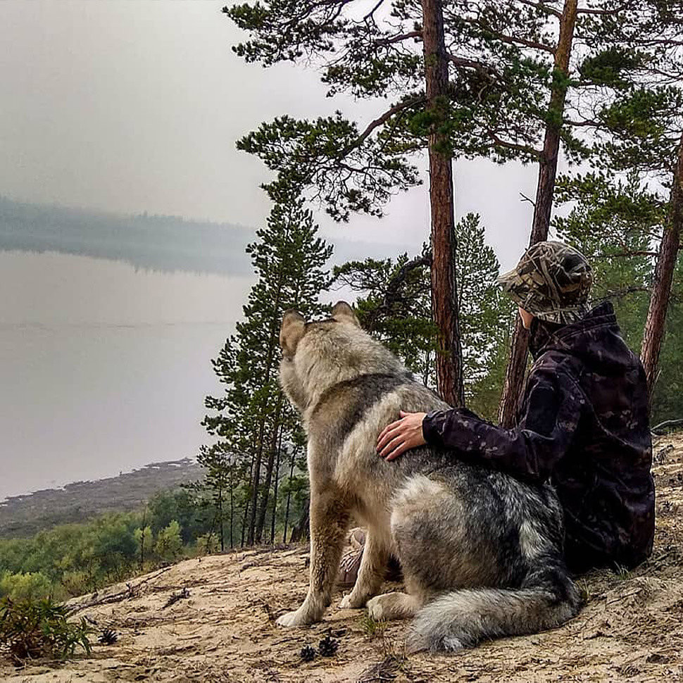 Адаптоген "Дальнобой" 10мл