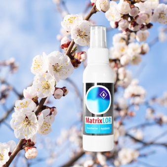MatrixLOR 100мл