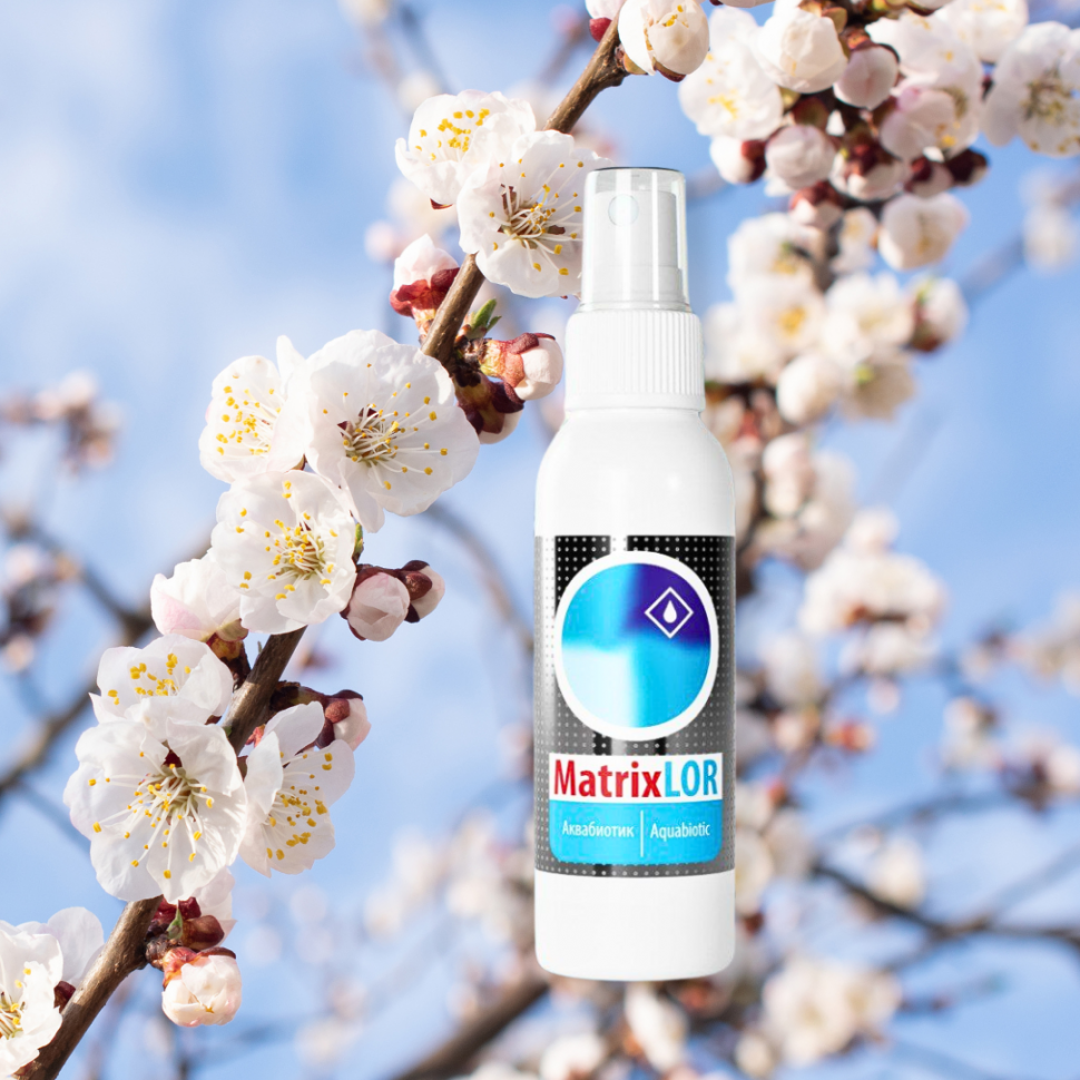 MatrixLOR 100мл