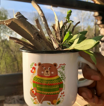 Кора осины 50г