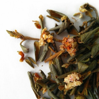 Энерджайзер Саган Дайля 50г