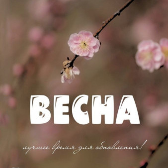 Весенний бокс