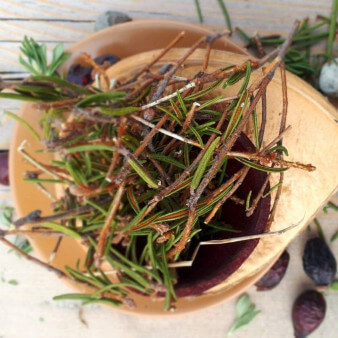 Багульник болотный с цветками 5г