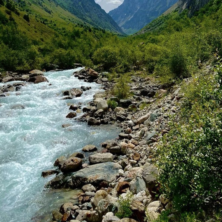 Сбор ЖЕЛЧЕТОК 80г